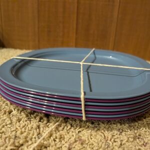Tupperware Blue and Purple Dinner Plates